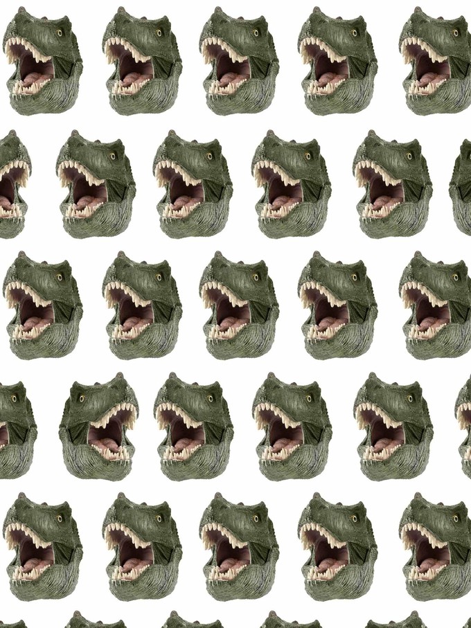 Dino Shorts Kids from SNURK